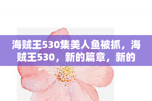 海贼王530集美人鱼被抓,海贼王530,新的篇章,新的冒险 海贼王530集美人鱼被抓,海贼王530,新的篇章,新的冒险