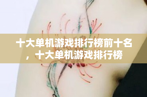 十大单机游戏排行榜前十名，十大单机游戏排行榜