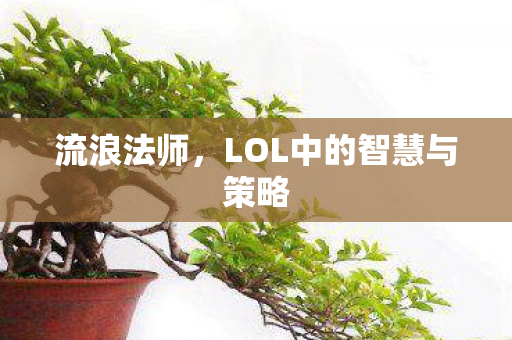 流浪法师，LOL中的智慧与策略