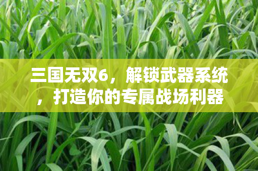 三国无双6，解锁武器系统，打造你的专属战场利器