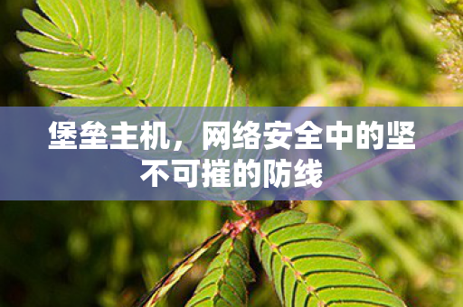 堡垒主机，网络安全中的坚不可摧的防线