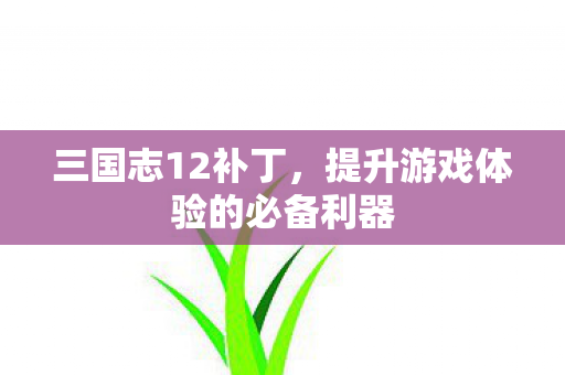 三国志12补丁，提升游戏体验的必备利器