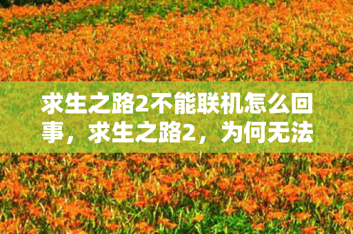 求生之路2不能联机怎么回事，求生之路2，为何无法联机？解析与解决方案