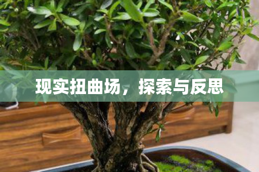 现实扭曲场，探索与反思