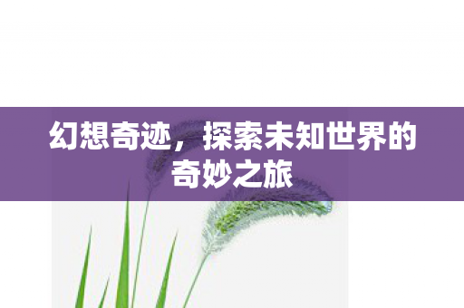 探索未知世界的奇妙之旅图片