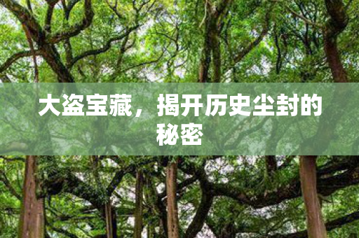 大盗宝藏，揭开历史尘封的秘密