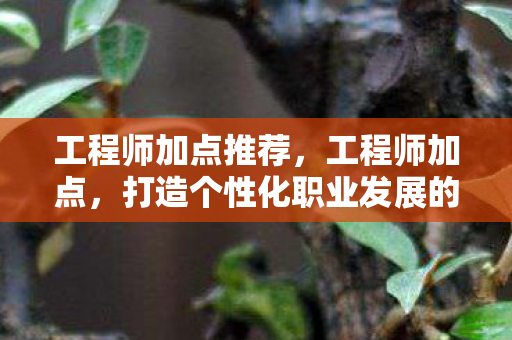 工程师加点推荐，工程师加点，打造个性化职业发展的蓝图