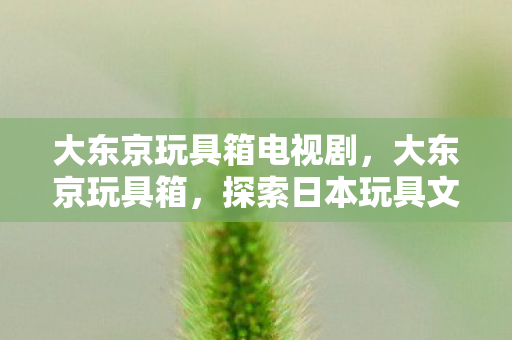 大东京玩具箱电视剧，大东京玩具箱，探索日本玩具文化的奇妙之旅