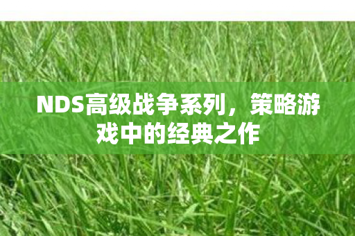 NDS高级战争系列，策略游戏中的经典之作