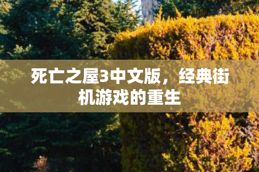 死亡之屋3中文版，经典街机游戏的重生