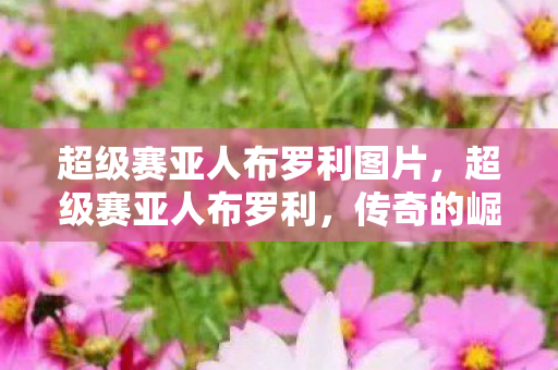 超级赛亚人布罗利图片,超级赛亚人布罗利,传奇的崛起与传奇的终结 超级赛亚人布罗利图片,超级赛亚人布罗利,传奇的崛起与传奇的终结