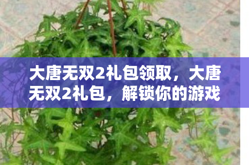 大唐无双2礼包领取，大唐无双2礼包，解锁你的游戏之旅