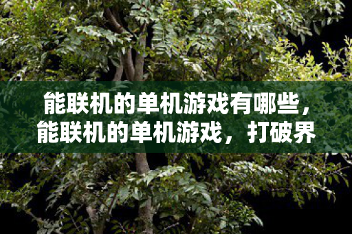 能联机的单机游戏有哪些图片