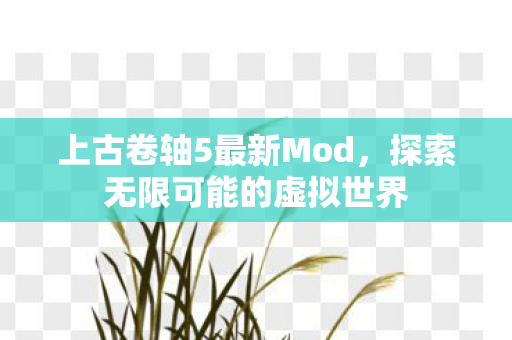 上古卷轴5最新Mod，探索无限可能的虚拟世界
