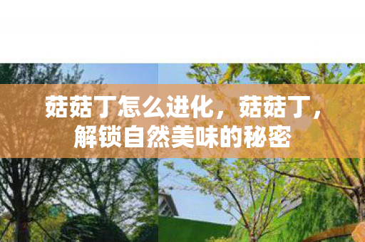 解锁自然美味的秘密图片