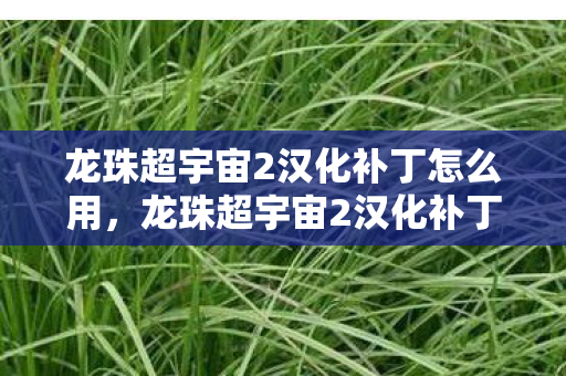 龙珠超宇宙2汉化补丁怎么用，龙珠超宇宙2汉化补丁，解锁游戏新世界的钥匙
