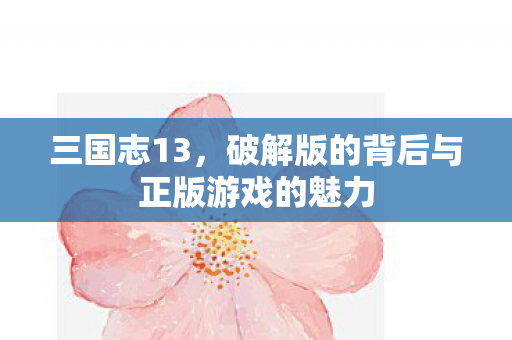 破解版的背后与正版游戏的魅力图片