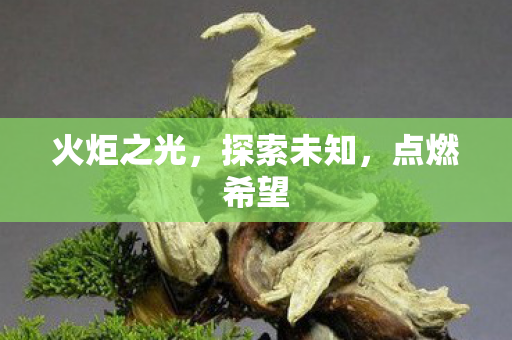 火炬之光，探索未知，点燃希望