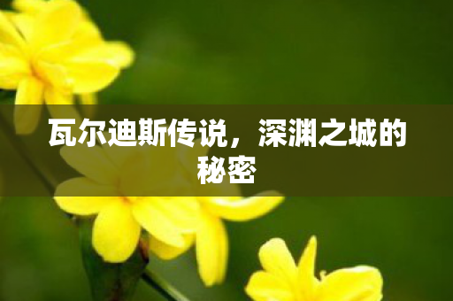 瓦尔迪斯传说，深渊之城的秘密