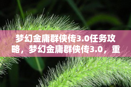 梦幻金庸群侠传3.0任务攻略，梦幻金庸群侠传3.0，重温江湖传奇，再续英雄梦