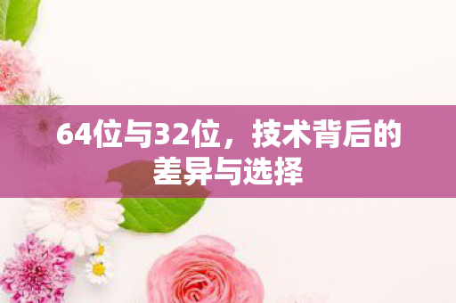 64位与32位,技术背后的差异与选择 64位与32位,技术背后的差异与选择