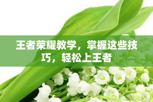 王者荣耀教学,掌握这些技巧,轻松上王者 王者荣耀教学,掌握这些技巧,轻松上王者