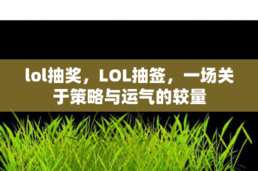 lol抽奖，LOL抽签，一场关于策略与运气的较量
