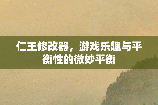 仁王修改器，游戏乐趣与平衡性的微妙平衡