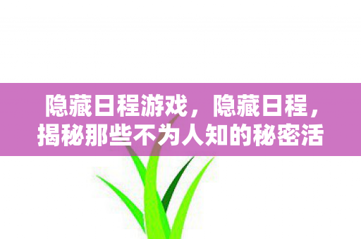 隐藏日程游戏，隐藏日程，揭秘那些不为人知的秘密活动