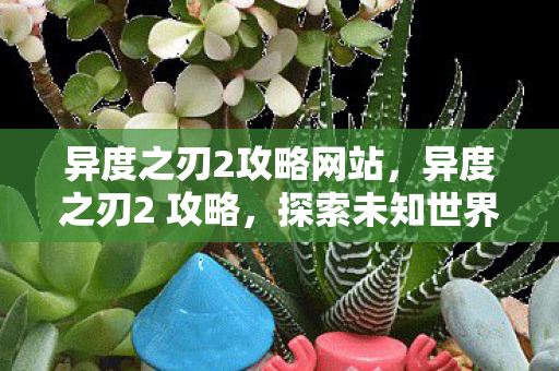 异度之刃2攻略网站，异度之刃2 攻略，探索未知世界的战斗艺术