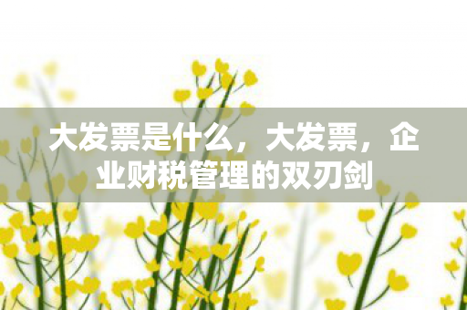 大发票是什么，大发票，企业财税管理的双刃剑