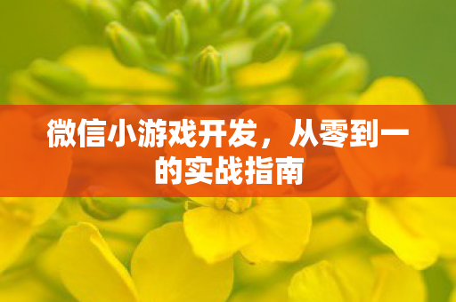 微信小游戏开发，从零到一的实战指南