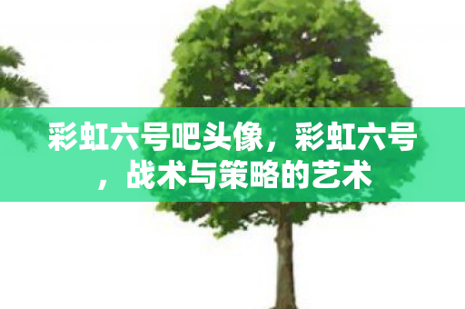 彩虹六号吧头像，彩虹六号，战术与策略的艺术