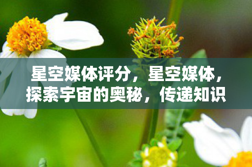 星空媒体评分，星空媒体，探索宇宙的奥秘，传递知识的力量