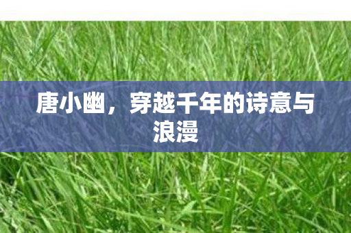 唐小幽，穿越千年的诗意与浪漫