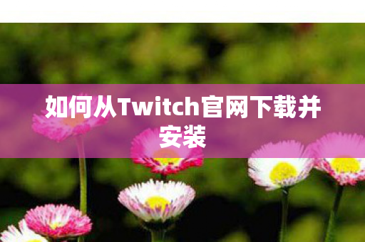 如何从Twitch官网下载并安装