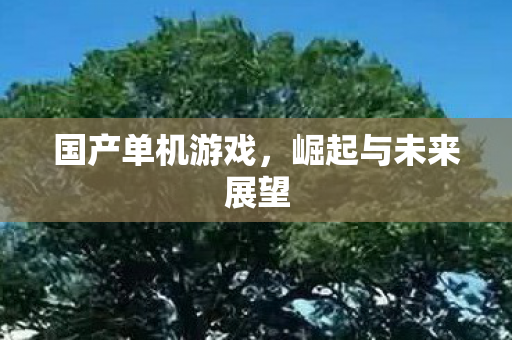 国产单机游戏，崛起与未来展望