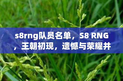 s8rng队员名单，S8 RNG，王朝初现，遗憾与荣耀并存