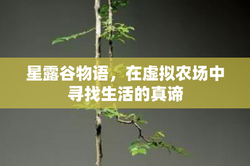 星露谷物语，在虚拟农场中寻找生活的真谛