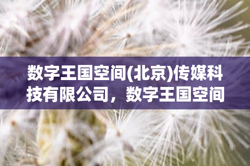 数字王国空间(北京)传媒科技有限公司,数字王国空间,探索虚拟与现实的交汇点 数字王国空间(北京)传媒科技有限公司,数字王国空间,探索虚拟与现实的交汇点