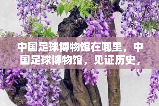 中国足球博物馆在哪里,中国足球博物馆,见证历史,传承荣耀 中国足球博物馆在哪里,中国足球博物馆,见证历史,传承荣耀