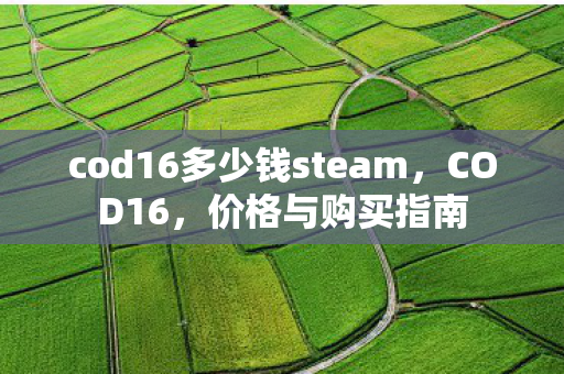 cod16多少钱steam，COD16，价格与购买指南