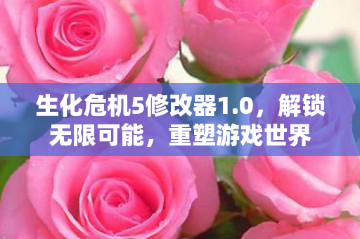 生化危机5修改器1.0，解锁无限可能，重塑游戏世界