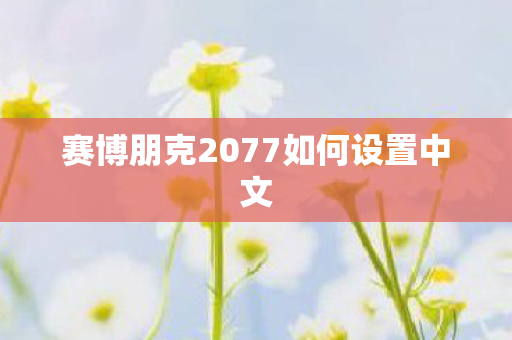赛博朋克2077如何设置中文