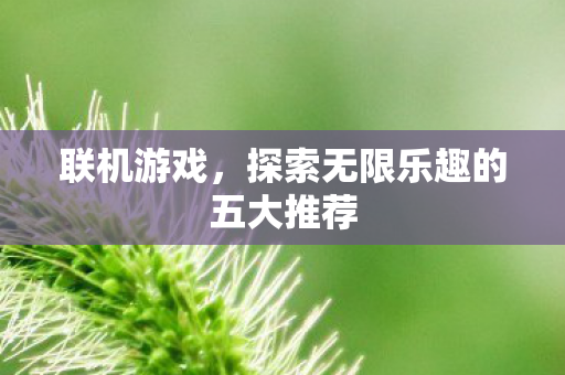 联机游戏，探索无限乐趣的五大推荐