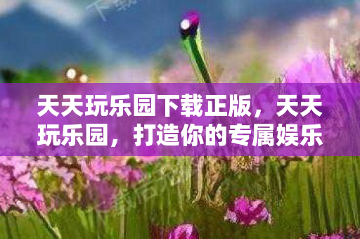 天天玩乐园下载正版，天天玩乐园，打造你的专属娱乐新天地