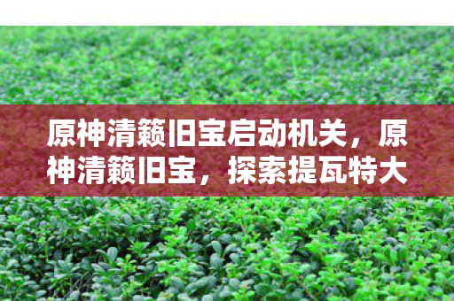 原神清籁旧宝启动机关，原神清籁旧宝，探索提瓦特大陆的秘密宝藏