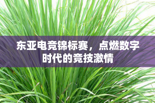 东亚电竞锦标赛，点燃数字时代的竞技激情