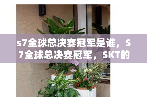 s7全球总决赛冠军是谁，S7全球总决赛冠军，SKT的荣耀时刻
