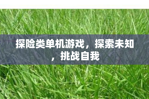 探险类单机游戏，探索未知，挑战自我